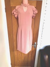 Image of Coast Blush Pink Midi Dress Size 12 New With Tags