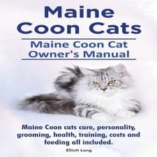 Image of Maine Coon Cats. Maine Coon Cat Owner's Manual. Maine Coon cats c
