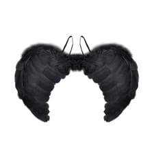 Image of Black Gothic Dark Angel Fairy Wings and Halo Halloween Devil Fancy Dress Costume