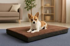 Image of Soft Large & Extra Large Fur Faux Dog Bed -Pet Zipped Premium Mattress Cushion