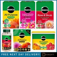 Image of MIRACLE GRO PLANT FOOD ALL PURPOSE ROSE SHRUB ERICACEOUS AZALEA WATER SOLUBLE