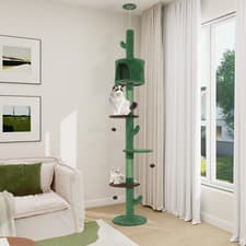 Image of Floor to Ceiling Cat Tree Tower Climbing Scratching Post with Condo Kitten