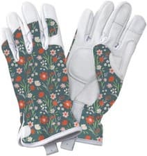 Image of Kent & Stowe Premium Leather Gloves Ladies - Assorted