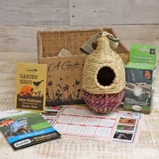 Image of Wildlife World Artisan Wild Bird Nester - Shesali Gift Box