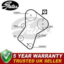 Image of Gates Timing Belt Fits Peugeot Citroen Fiat LDV - 5049XS