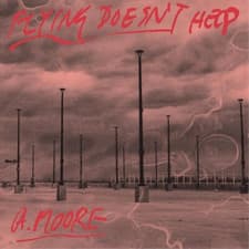 Image of Anthony Moore Flying Doesn't Help (Vinyl) 12" Album (US IMPORT)