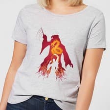 Image of Harry Potter Dumbledore Voldemort Women's T-Shirt - Grey