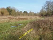 Image of Photo 12x8 Fallow field by the River Colne Uxbridge A fallow field to the c2015