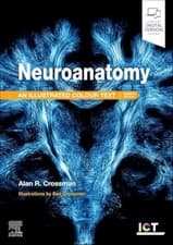 Image of Illustrated Colour Text Ser.: Neuroanatomy: Illustrated Colour Text by Alan ...