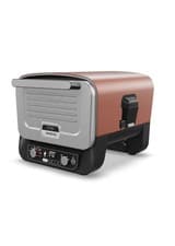 Image of Ninja Woodfire Electric Outdoor Oven, Artisan Pizza Maker and BBQ Smoker OO101UK