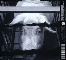 Image of MERZBOW ANIMAL LIBERATION: UNTIL EVERY CAGE IS EMPTY NEW CD