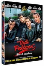 Image of THE LORDS OF FLATBUSH **DVD R2** PERRY KING, SYLVESTER STALLONE