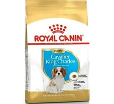 Image of CAVALIER KING CHARLES PUPPY - (1.5kg) - Royal Canin Dog Breed Dry Food rc Kibble