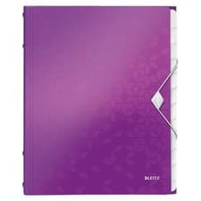 Image of Leitz WOW Divider Book 46340062