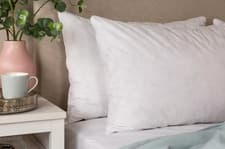 Image of Snuggledown Natural Duck Feather and Down Standard Pillow, Soft/Medium
