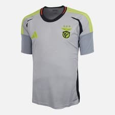 Image of 2024-25 SL Benfica Third away Shirt [New] XL