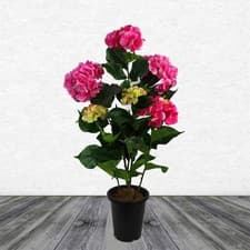 Image of Artificial Hydrangea Flowering Plant Pink