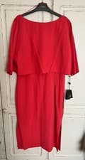 Image of Adrianna Papell Dress BNWT