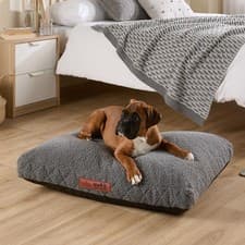 Image of Slumberdown Paws For Slumber Sherpa Medium Pet Bed, Light Grey