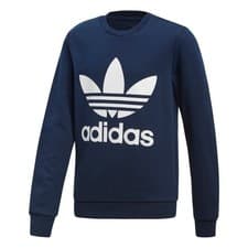 Image of Adicolor Adidas Originals Kids Hoodie