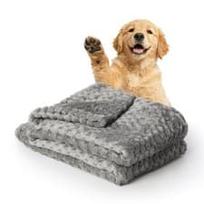 Image of Premium Reversible Dog Blanket — Ultra-Soft Washable Fleece Pet Blanket UK