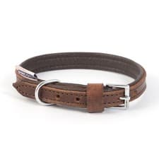 Image of Vintage Leather Padded Dog Collar - Soft and Comfortable