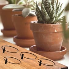 Image of Space Saving Metal Wall Planters with Efficient Drainage and Airflow Features