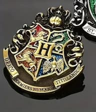 Image of X LARGE Limited Edition Harry Potter House Pin Badges HUFFLEPUFF SLYTHERIN