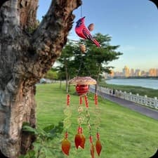 Image of Bird Wind Chime with Solar Light Decorative Windchime for Yard Patio Wedding