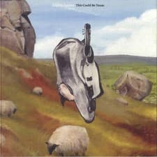 Image of ENGLISH TEACHER - This Could Be Texas - Vinyl (heavyweight vinyl LP + insert)