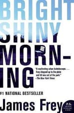 Image of Bright Shiny Morning by James Frey (2009, Trade Paperback)