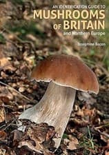 Image of An Identification Guide to Mushrooms of Britain and Northern Europe (2nd editio