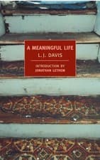 Image of A Meaningful Life by L. J. Davis 9781590173008 NEW Free UK Delivery