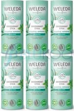 Image of Weleda Eucalyptus & Peppermint Solid Deodorant - 50g (Pack of 6)