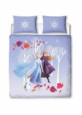 Image of Disney Frozen 2 Reversible Duvet Cover Set (Double) Brand New