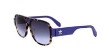 Image of Adidas Original OR0006 Coloured havana 57/14/140 MAN Sunglasses