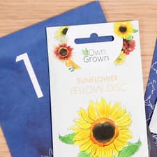 Image of Flower Seeds Christmas Advent Calendar 2022: Beautiful Garden Advent Calendar –