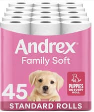 Image of Andrex Family Soft Toilet Tissue 45 Rolls (Previously Andrex Gentle Clean) Gentl