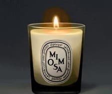 Image of Diptyque Mimosa Scented Candle - 70g - BNIB & Sealed - Free P&P