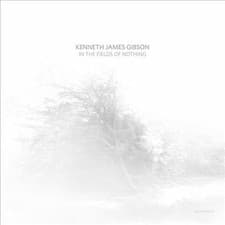 Image of Kenneth James Gibson : In the Fields of Nothing [NEW & SEALED] 12" Vinyl