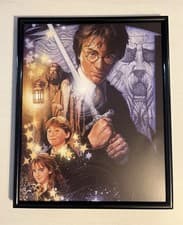 Image of Harry Potter Chamber of Secrets (2002) Framed Artwork