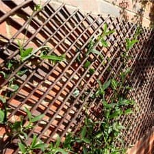 Image of Willow Trellis Expanding Garden Trellis- 1.8m Length - Different Sizes Available