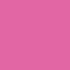 Image of Intensive Coloured Paper Copier A4 80gsm Clairefontaine Trophee