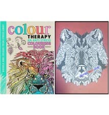 Image of A4 Colour Therapy Adult Anti-Stress Mindfulness Colouring Book For All Ages 