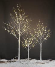 Image of Christmas Birch Tree Pre Lit Warm White Outdoor Xmas Remote