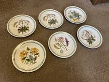 Image of Six Portmeirion Dinner Plates 27cm Botanic Garden ~ Unused ~ MINT Condition