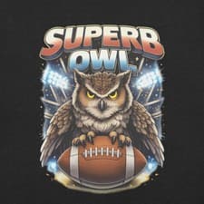 Image of Superb Owl Football Big Game Unisex t-shirt