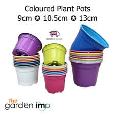 Image of Plant Pots Plastic 9cm 10.5cm 13cm Coloured Round Bright Glossy Seed Flower Pot