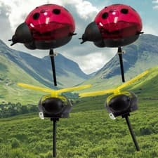 Image of Solar Garden Insect Lights Ladybird Bee LED Outdoor Stake Lights