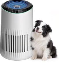 Image of Air Purifier Allergy Home Bedroom Office HEPA Filters with Aromatherapy Diffuse
